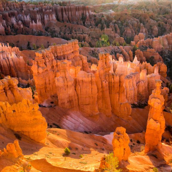Bryce Canyon NP, Holidays, Southwest, Süd-Westen, USA, Urlaub, Vereinigte Staaten