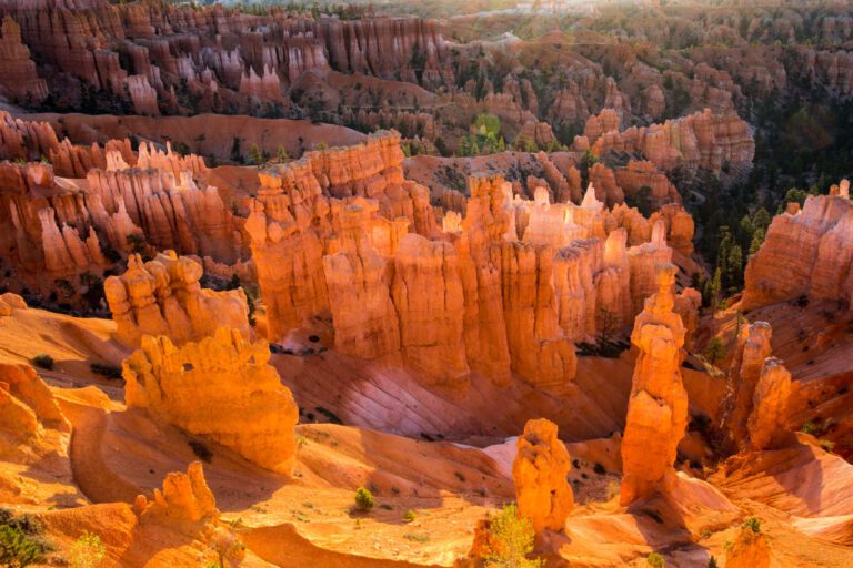 Bryce Canyon NP, Holidays, Southwest, Süd-Westen, USA, Urlaub, Vereinigte Staaten