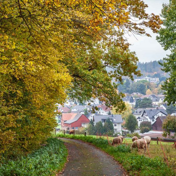 Deutschland, Europa, Europe, Germany, Gladenbach, Herbst, Hessen, Hessia, Hinterland, Lahn-Dill-Bergland, Location, Mittelhessen, Ort, autumn, fall