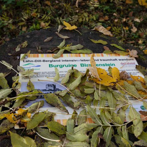 Deutschland, Europa, Europe, Germany, Gladenbach, Herbst, Hessen, Hessia, Hinterland, Lahn-Dill-Bergland, Location, Mittelhessen, Ort, autumn, fall