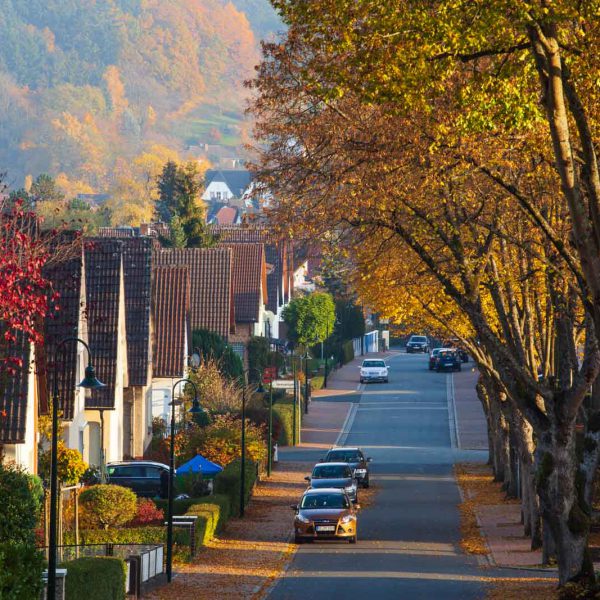 Deutschland, Europa, Europe, Germany, Gladenbach, Herbst, Hessen, Hessia, Hinterland, Lahn-Dill-Bergland, Location, Mittelhessen, Ort, autumn, fall