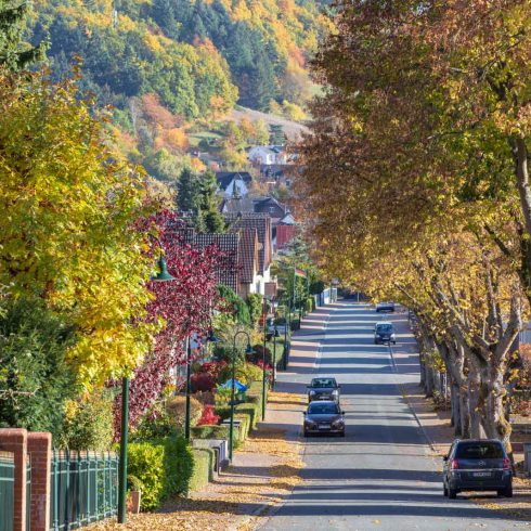 Deutschland, Europa, Europe, Germany, Gladenbach, Herbst, Hessen, Hessia, Location, Mittelhessen, Ort, autumn, fall
