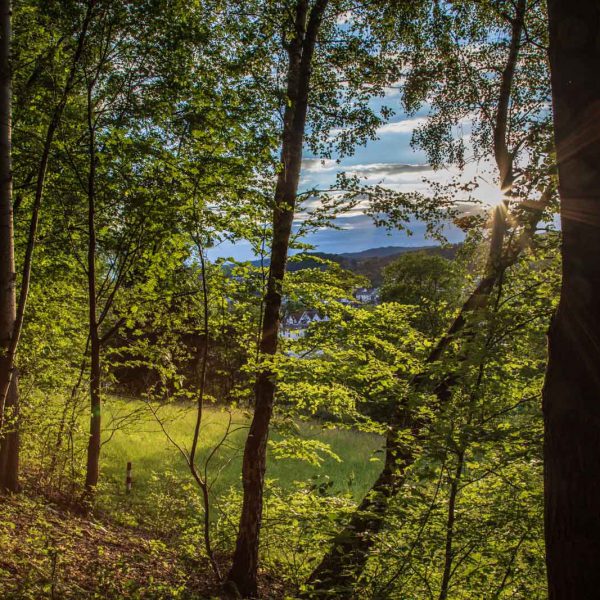 Deutschland, Europa, Europe, Frühling, Germany, Gladenbach, Hessen, Hessia, Hinterland, Location, Mittelhessen, Ort, Spring