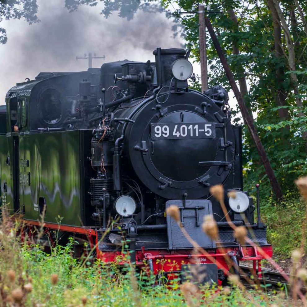 Urlaub Rügen Deutschland, Germany, Rügen, Urlaub, Vaccation