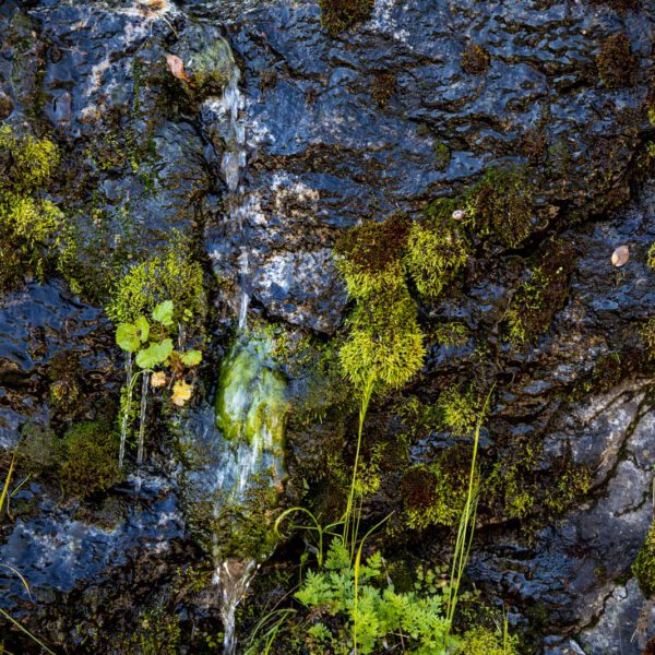 Holidays, National Park, Nord-Westen, NorthWest, USA, Urlaub, Vereinigte Staaten, Yosemite NP