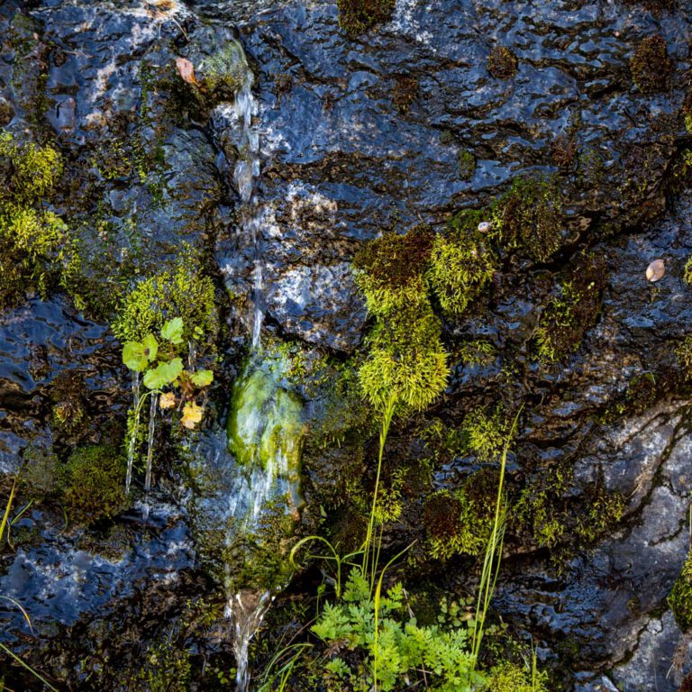 Holidays, National Park, Nord-Westen, NorthWest, USA, Urlaub, Vereinigte Staaten, Yosemite NP