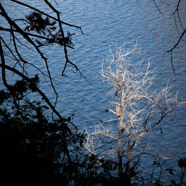 Holidays, National Park, Nord-Westen, NorthWest, USA, Urlaub, Vereinigte Staaten, Yosemite NP