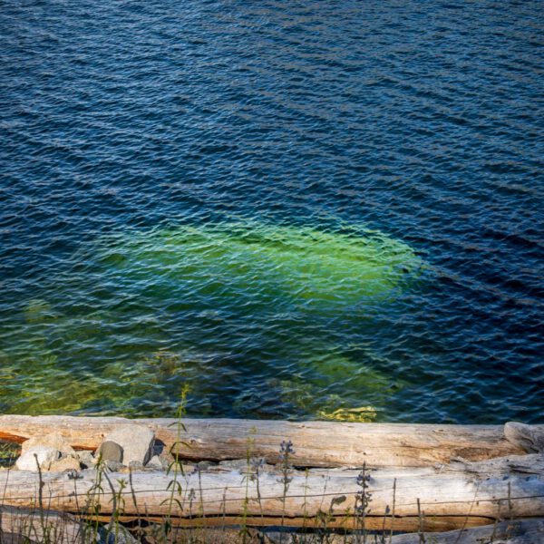 Holidays, National Park, Nord-Westen, NorthWest, USA, Urlaub, Vereinigte Staaten, Yosemite NP