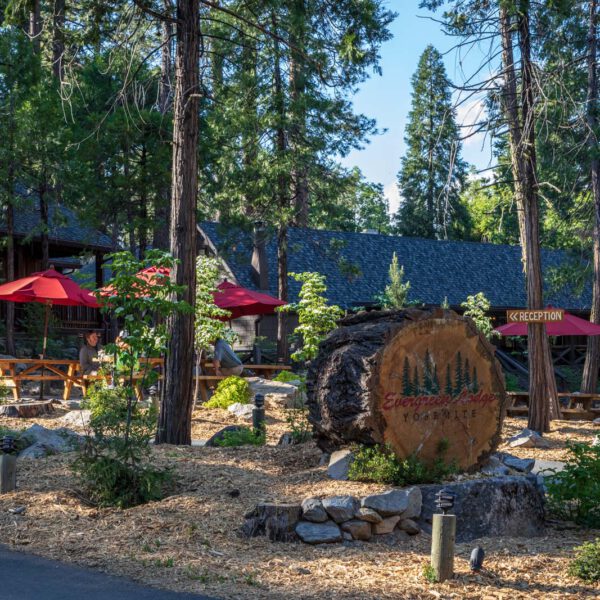 Holidays, National Park, Nord-Westen, NorthWest, USA, Urlaub, Vereinigte Staaten, Yosemite NP