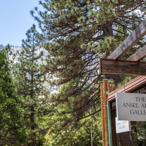 Holidays, National Park, Nord-Westen, NorthWest, USA, Urlaub, Vereinigte Staaten, Yosemite NP