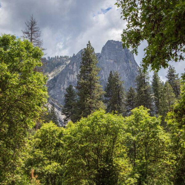 Holidays, National Park, Nord-Westen, NorthWest, USA, Urlaub, Vereinigte Staaten, Yosemite NP
