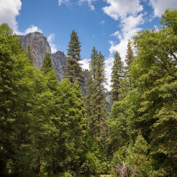 Holidays, National Park, Nord-Westen, NorthWest, USA, Urlaub, Vereinigte Staaten, Yosemite NP