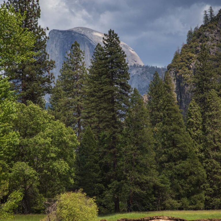 Holidays, National Park, Nord-Westen, NorthWest, USA, Urlaub, Vereinigte Staaten, Yosemite NP