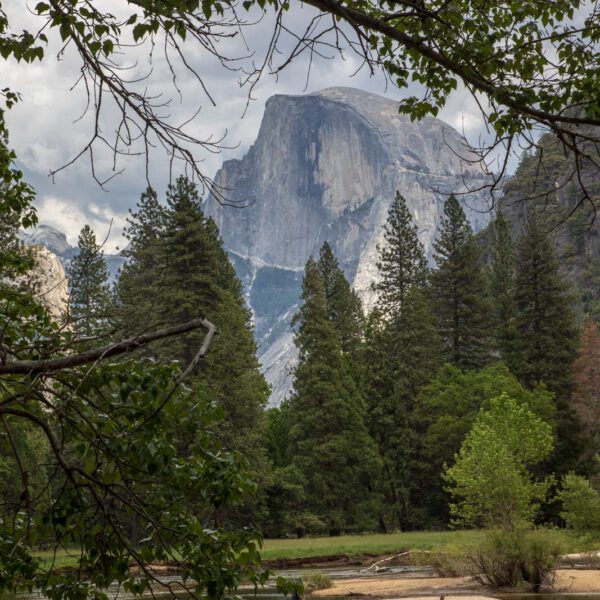 Holidays, National Park, Nord-Westen, NorthWest, USA, Urlaub, Vereinigte Staaten, Yosemite NP