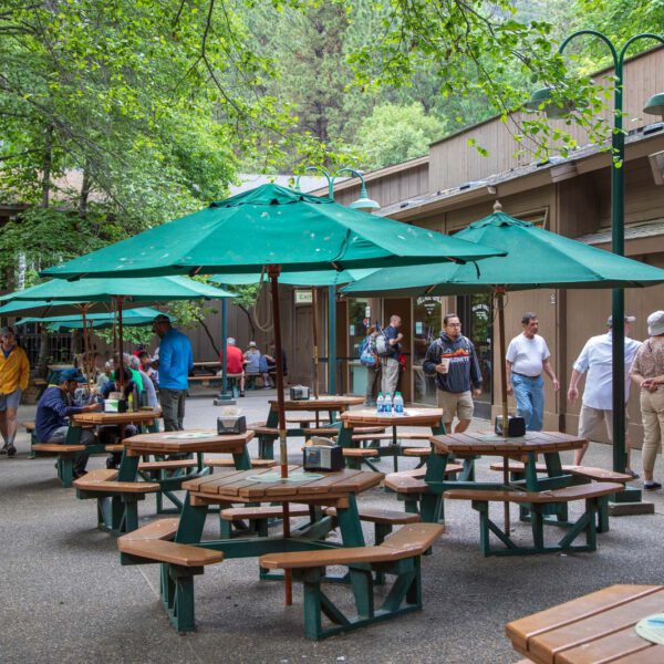 Holidays, National Park, Nord-Westen, NorthWest, USA, Urlaub, Vereinigte Staaten, Yosemite NP