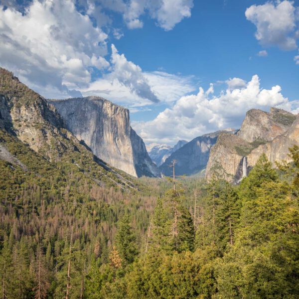 Holidays, National Park, Nord-Westen, NorthWest, USA, Urlaub, Vereinigte Staaten, Yosemite NP