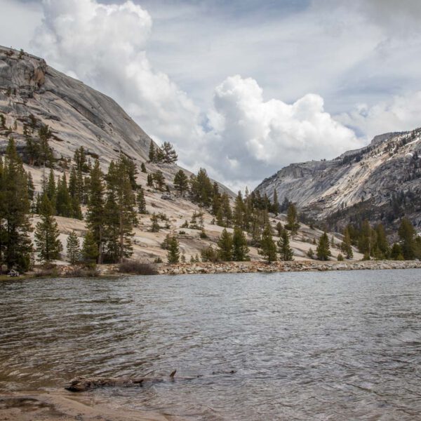 Holidays, National Park, Nord-Westen, NorthWest, USA, Urlaub, Vereinigte Staaten, Yosemite NP