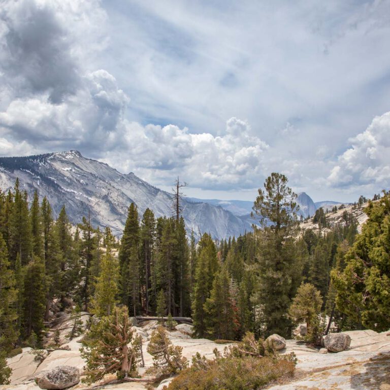 Holidays, National Park, Nord-Westen, NorthWest, USA, Urlaub, Vereinigte Staaten, Yosemite NP
