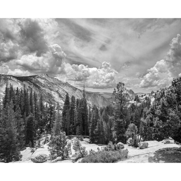 Holidays, National Park, Nord-Westen, NorthWest, USA, Urlaub, Vereinigte Staaten, Yosemite NP