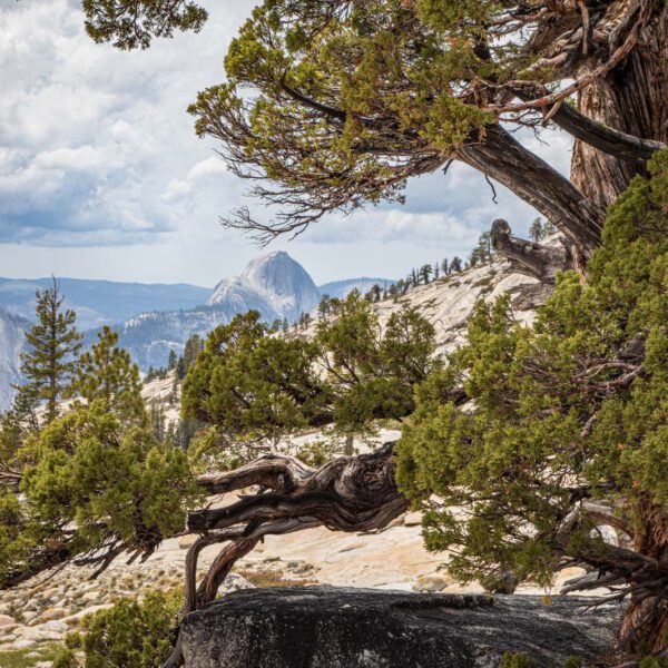 Holidays, National Park, Nord-Westen, NorthWest, USA, Urlaub, Vereinigte Staaten, Yosemite NP