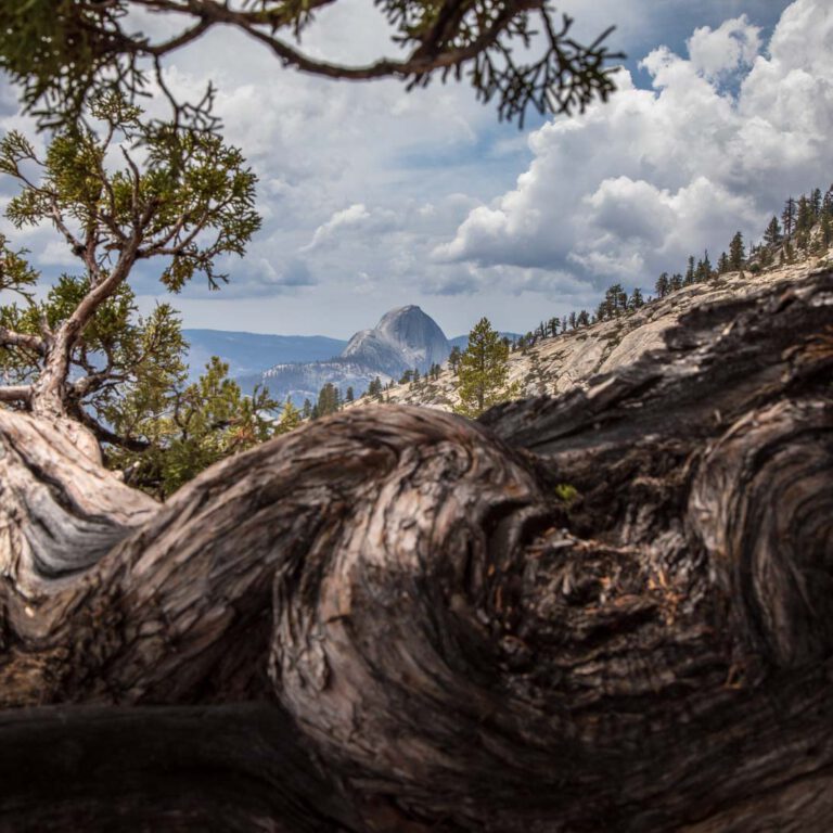 Holidays, National Park, Nord-Westen, NorthWest, USA, Urlaub, Vereinigte Staaten, Yosemite NP