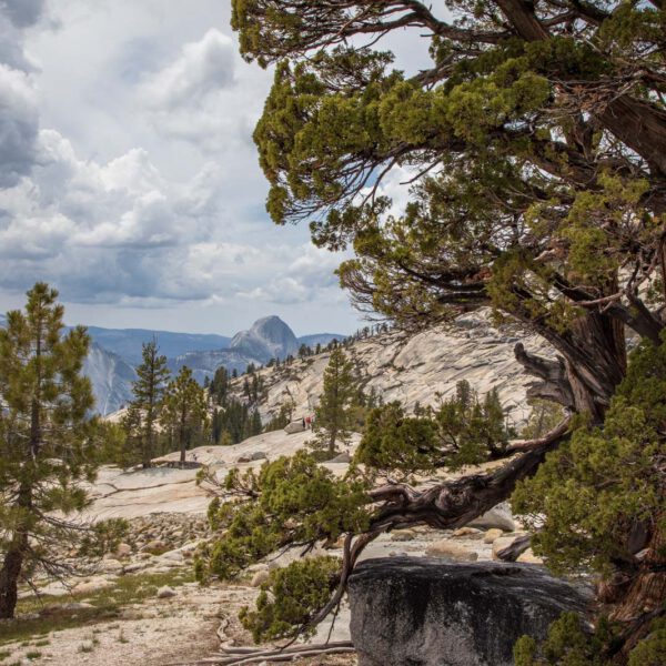 Holidays, National Park, Nord-Westen, NorthWest, USA, Urlaub, Vereinigte Staaten, Yosemite NP