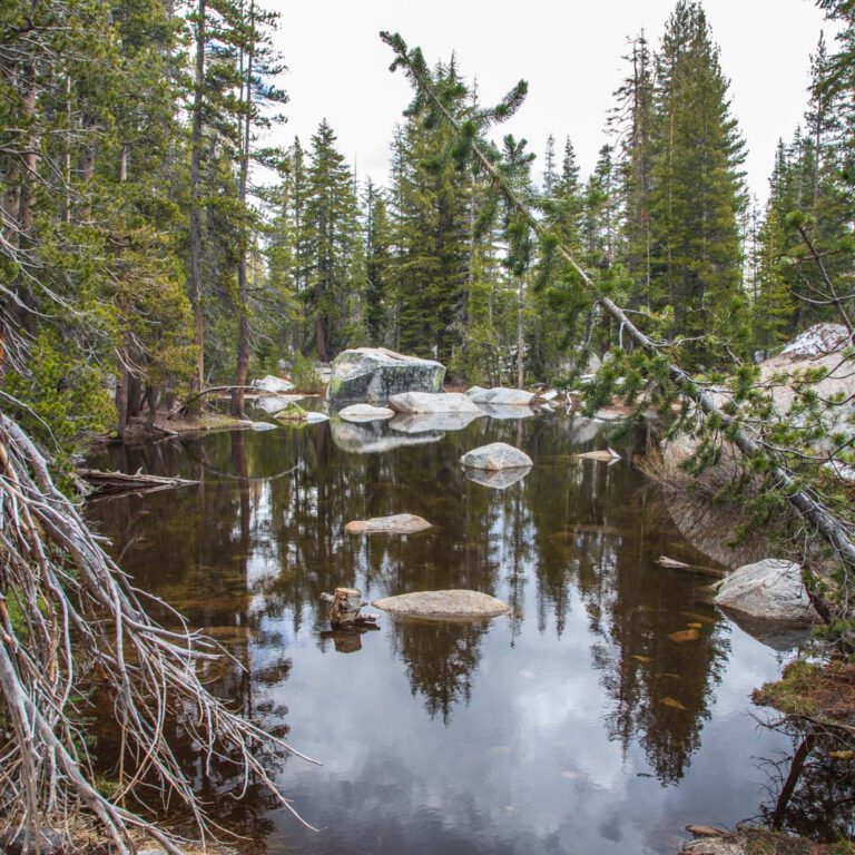 Holidays, National Park, Nord-Westen, NorthWest, USA, Urlaub, Vereinigte Staaten, Yosemite NP