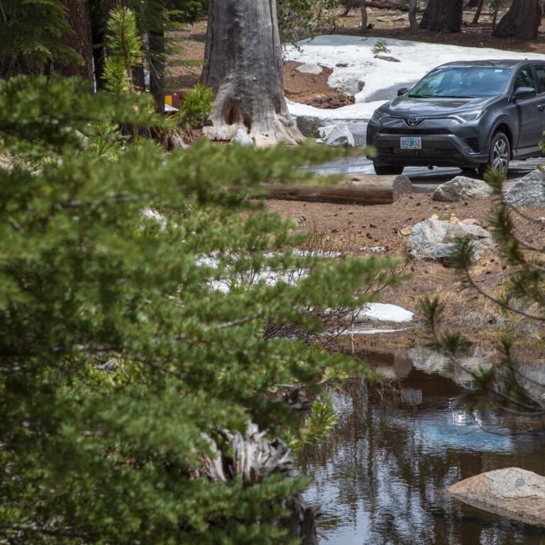 Holidays, National Park, Nord-Westen, NorthWest, USA, Urlaub, Vereinigte Staaten, Yosemite NP