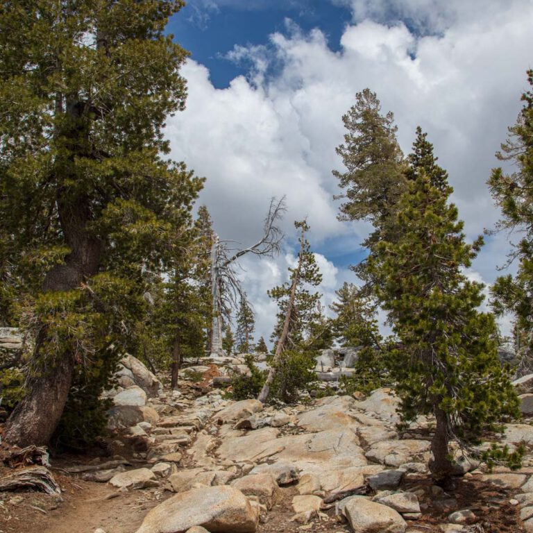 Holidays, National Park, Nord-Westen, NorthWest, USA, Urlaub, Vereinigte Staaten, Yosemite NP