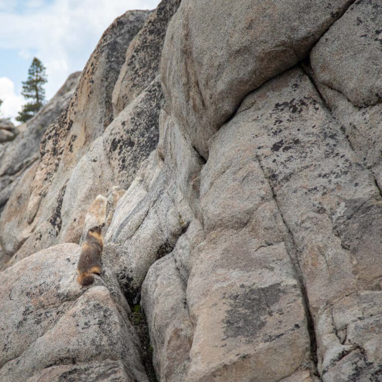 Holidays, National Park, Nord-Westen, NorthWest, USA, Urlaub, Vereinigte Staaten, Yosemite NP