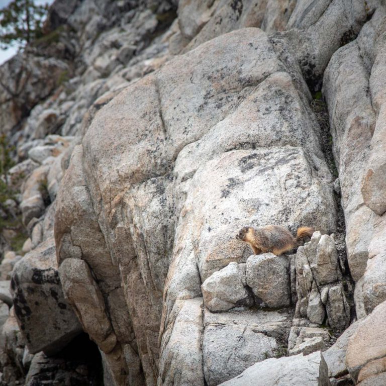 Holidays, National Park, Nord-Westen, NorthWest, USA, Urlaub, Vereinigte Staaten, Yosemite NP