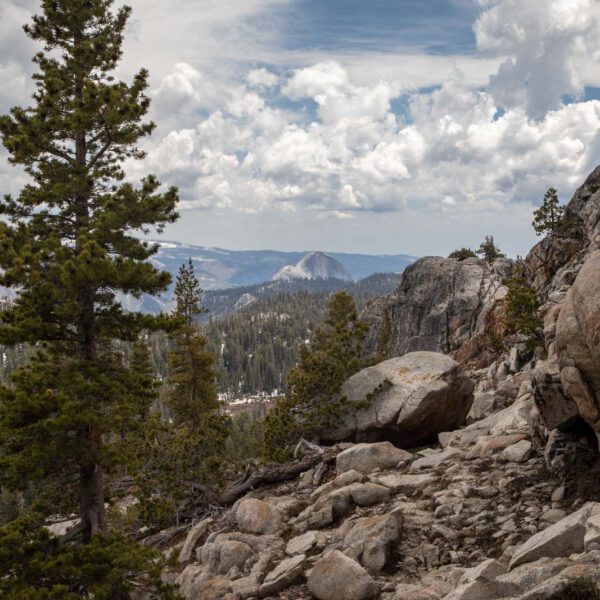 Holidays, National Park, Nord-Westen, NorthWest, USA, Urlaub, Vereinigte Staaten, Yosemite NP