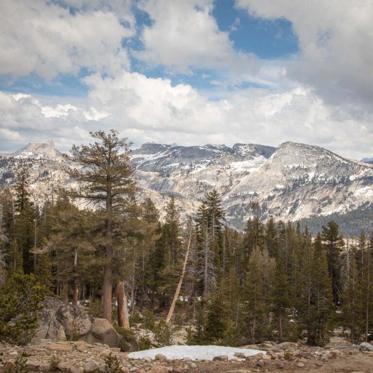 Holidays, National Park, Nord-Westen, NorthWest, USA, Urlaub, Vereinigte Staaten, Yosemite NP