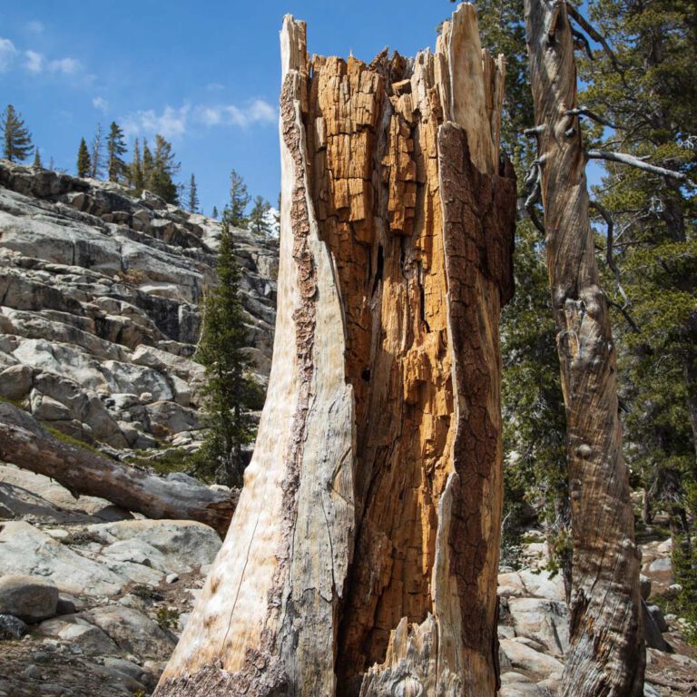 Holidays, National Park, Nord-Westen, NorthWest, USA, Urlaub, Vereinigte Staaten, Yosemite NP