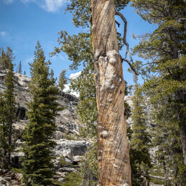 Holidays, National Park, Nord-Westen, NorthWest, USA, Urlaub, Vereinigte Staaten, Yosemite NP