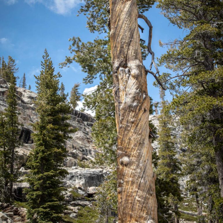 Holidays, National Park, Nord-Westen, NorthWest, USA, Urlaub, Vereinigte Staaten, Yosemite NP