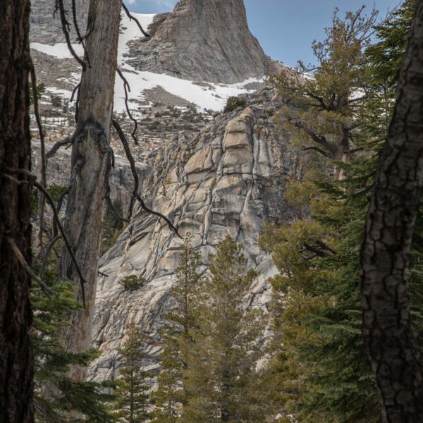 Holidays, National Park, Nord-Westen, NorthWest, USA, Urlaub, Vereinigte Staaten, Yosemite NP