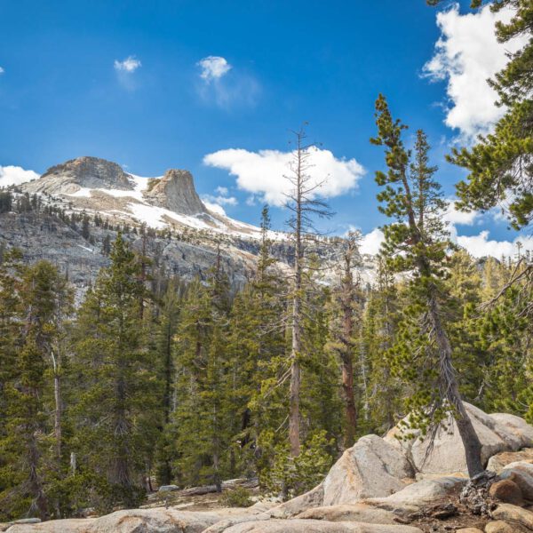 Holidays, National Park, Nord-Westen, NorthWest, USA, Urlaub, Vereinigte Staaten, Yosemite NP