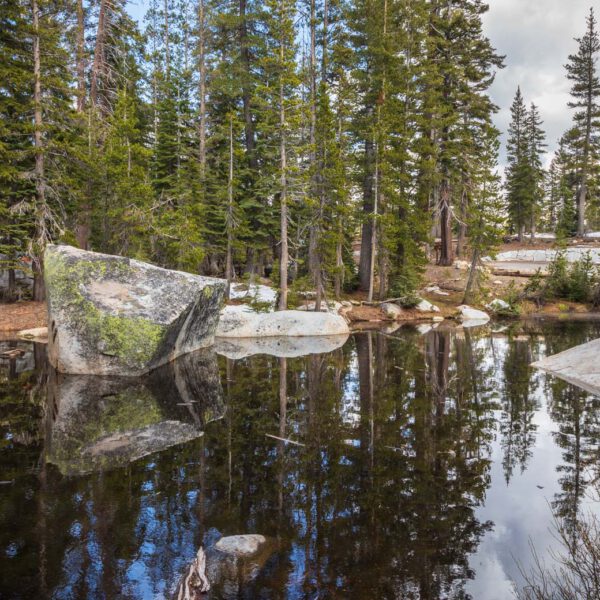 Holidays, National Park, Nord-Westen, NorthWest, USA, Urlaub, Vereinigte Staaten, Yosemite NP