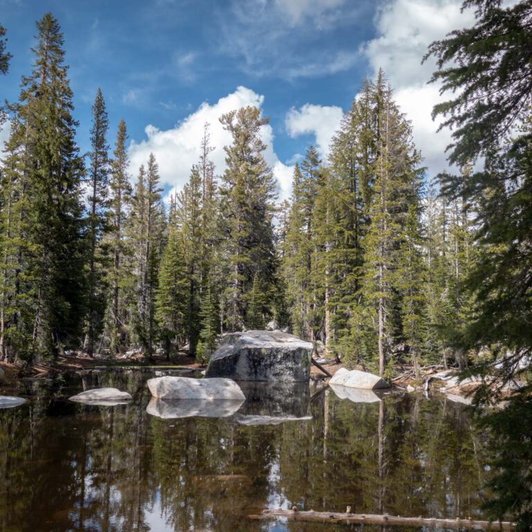 Holidays, National Park, Nord-Westen, NorthWest, USA, Urlaub, Vereinigte Staaten, Yosemite NP