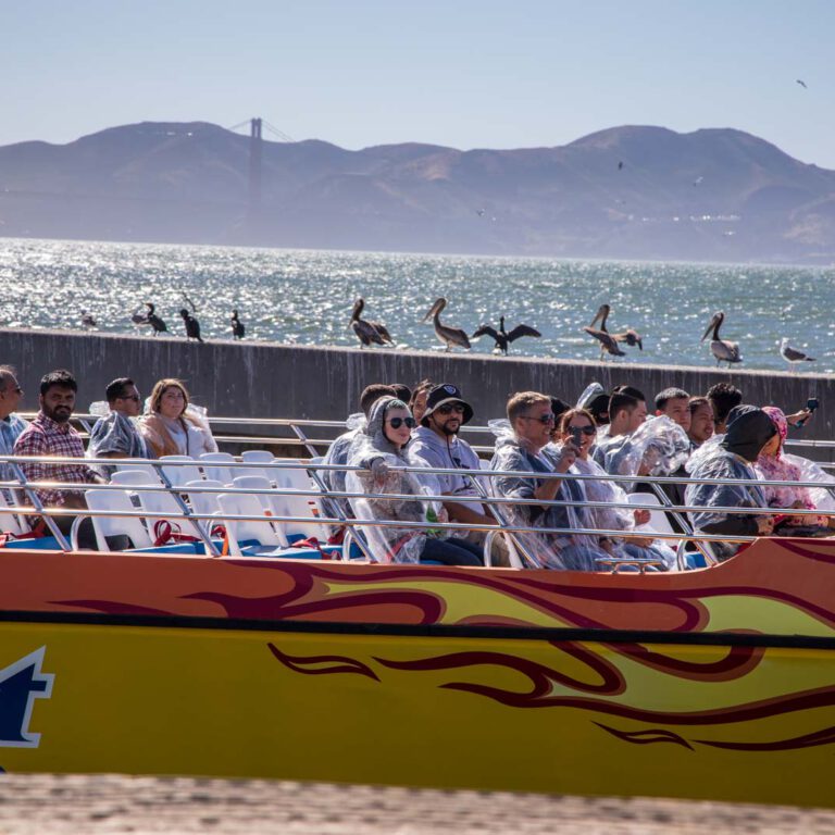 Holidays, Nord-Westen, NorthWest, USA, Urlaub, Vereinigte Staaten