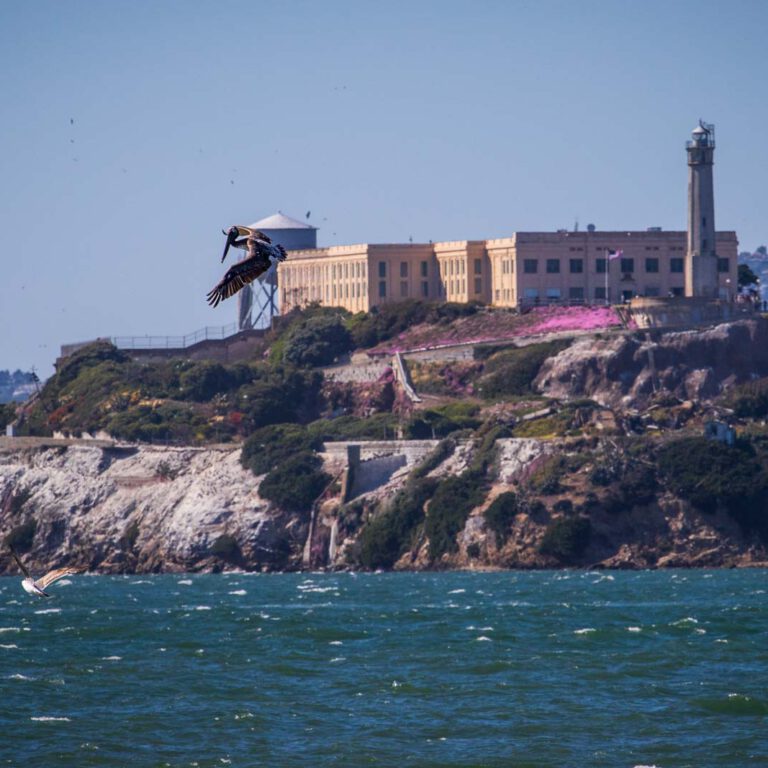 Holidays, Nord-Westen, NorthWest, USA, Urlaub, Vereinigte Staaten