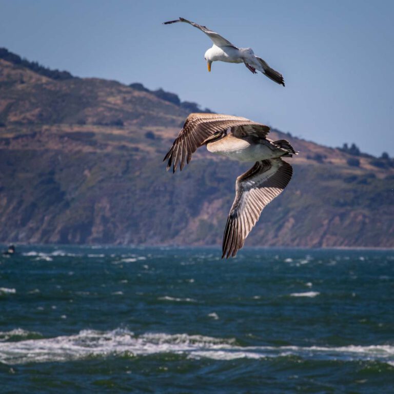 Holidays, Nord-Westen, NorthWest, USA, Urlaub, Vereinigte Staaten