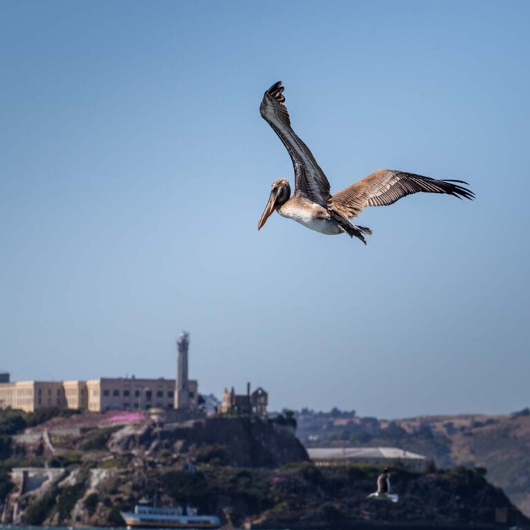 Holidays, Nord-Westen, NorthWest, USA, Urlaub, Vereinigte Staaten