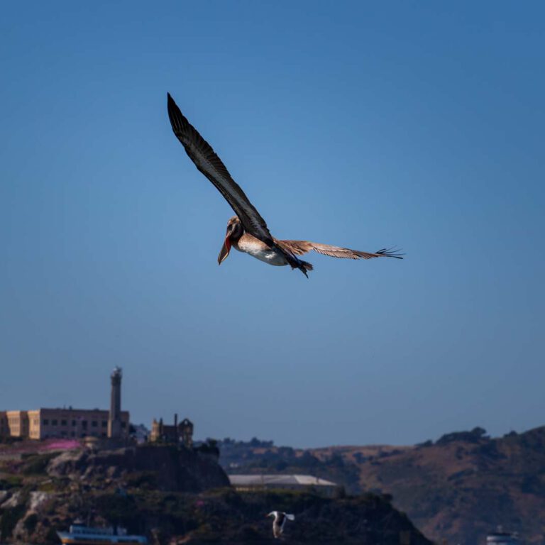 Holidays, Nord-Westen, NorthWest, USA, Urlaub, Vereinigte Staaten