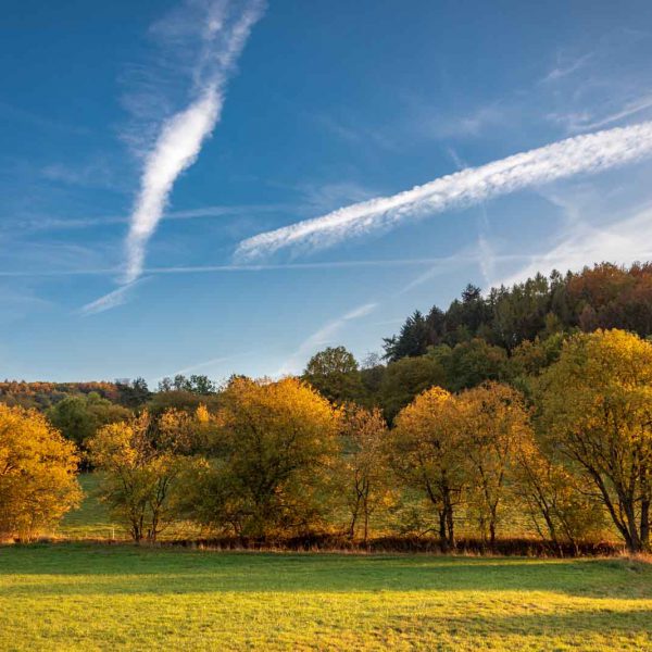 Blatt, Deutschland, Europa, Europe, Germany, Gladenbach, Herbst, Hessen, Hessia, Hinterland, Leaf, Location, Mittelhessen, Ort, autumn, fall