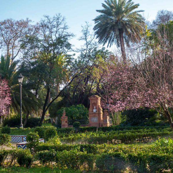 Andalusia, Andalusien, Maria-Luisa, Park, Sevilla, Seville, Spain, Spanien