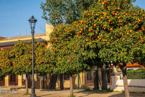 Andalusia, Andalusien, Plaza de Espana, Sevilla, Seville, Spain, Spanien