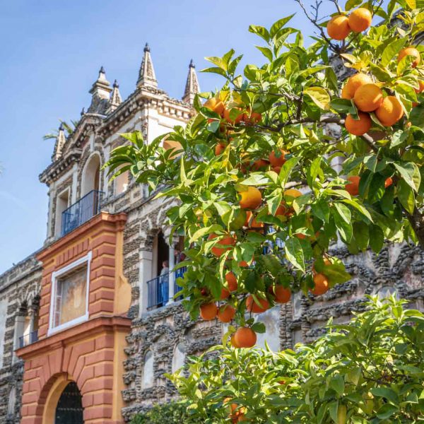 Alcazar, Alcazar Real de Sevilla, Andalusia, Andalusien, Sevilla, Seville, Spain, Spanien