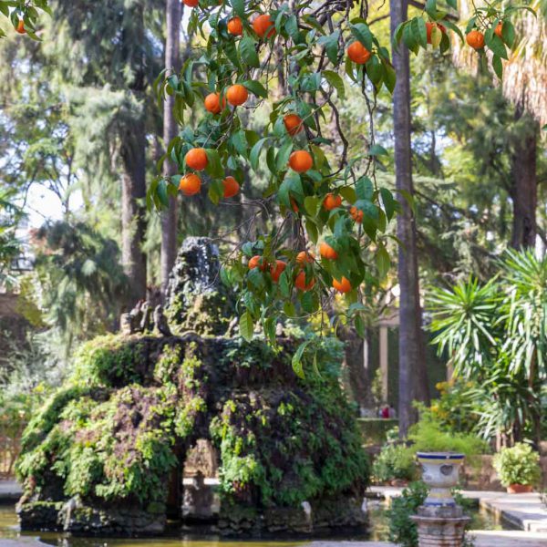 Alcazar, Alcazar Real de Sevilla, Andalusia, Andalusien, Sevilla, Seville, Spain, Spanien